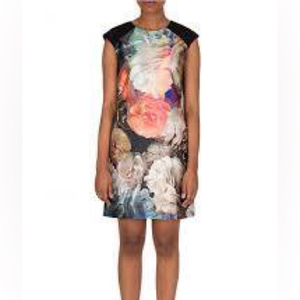 TED BAKER TECHNICOLOR BLOOM dress Sz 3